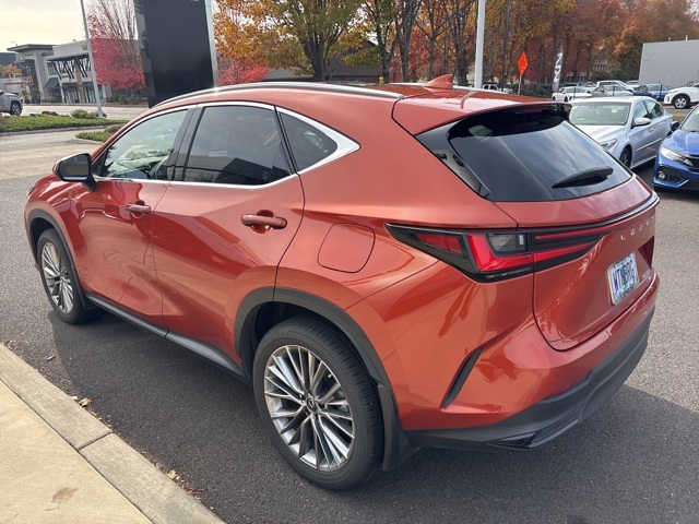 2023 Lexus NX 350 Luxury photo 4