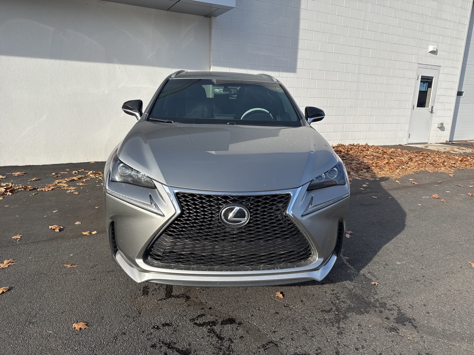 2017 Lexus NX 200t F SPORT photo 3