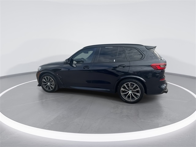 2019 Bmw X5 xDrive40i photo 6