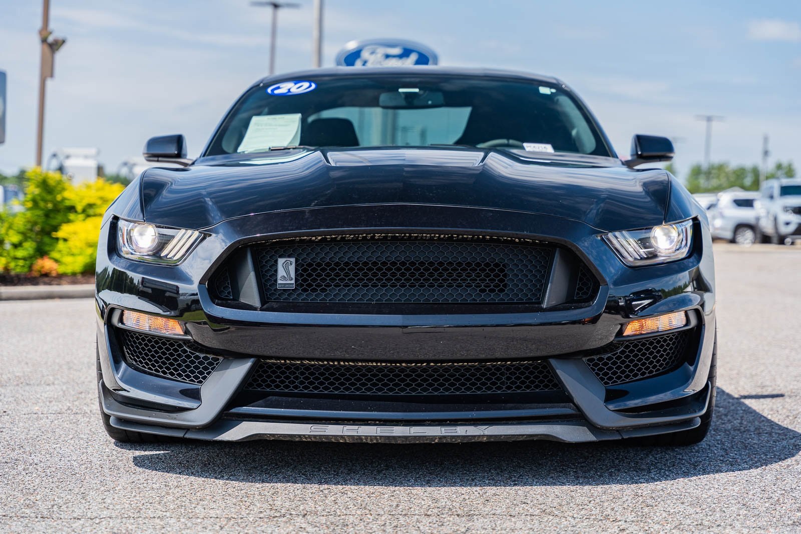 2020 Ford Mustang Shelby GT350 photo 2
