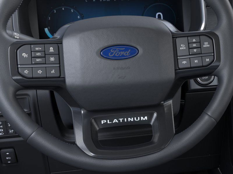 2025 Ford F-150 Platinum photo 11