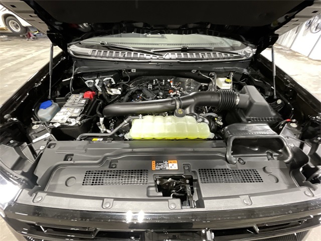 2025 Ford Expedition Platinum photo 21