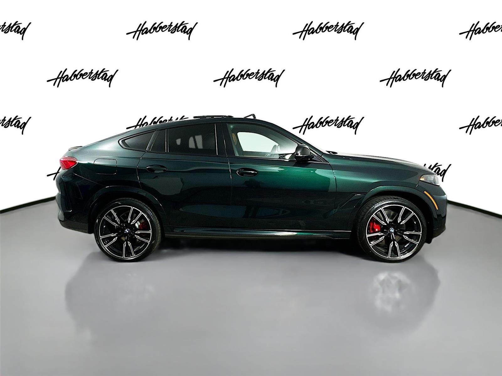 2026 Bmw X6 photo 4