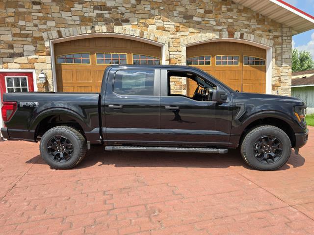 2025 Ford F-150 STX photo 2