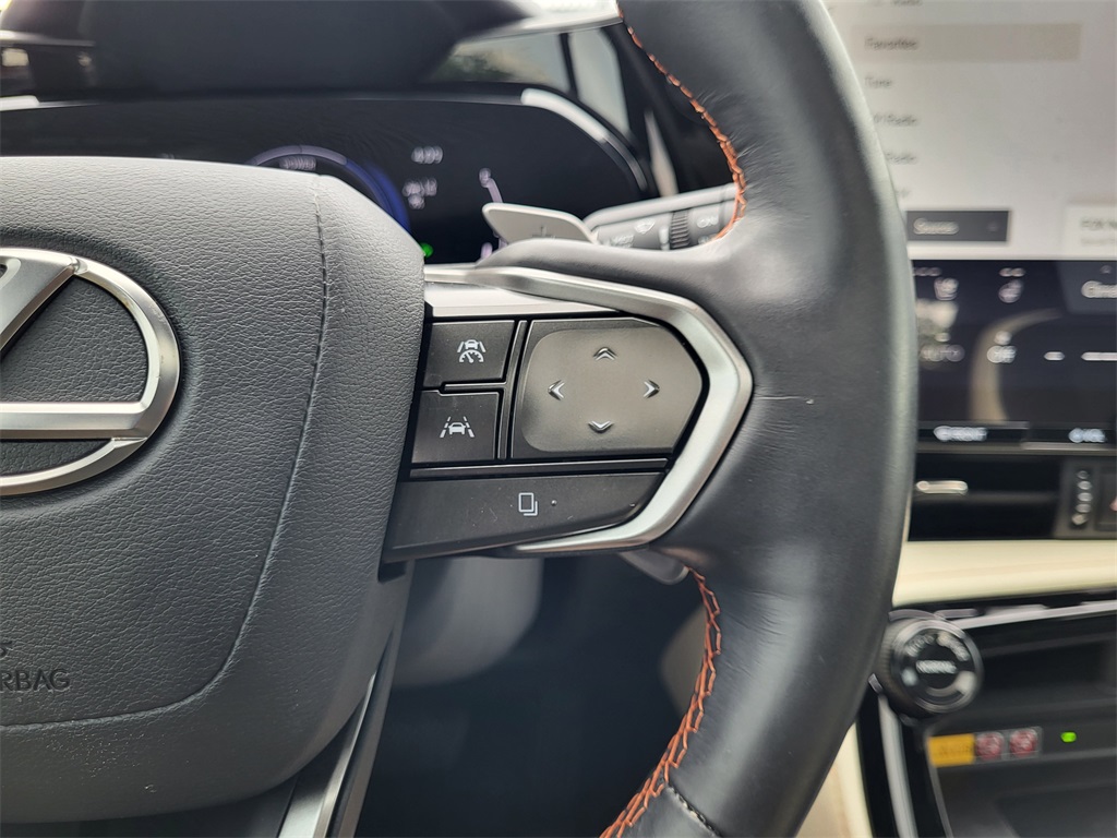 2024 Lexus NX 350h Luxury photo 20