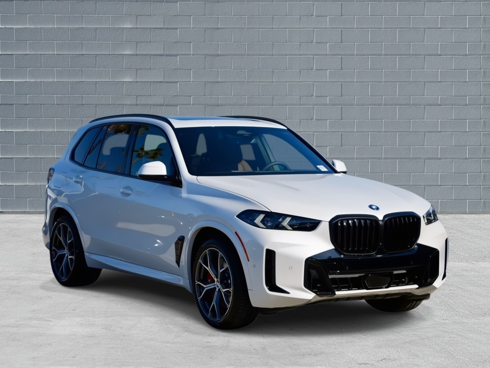 2026 BMW X5 50e's photo