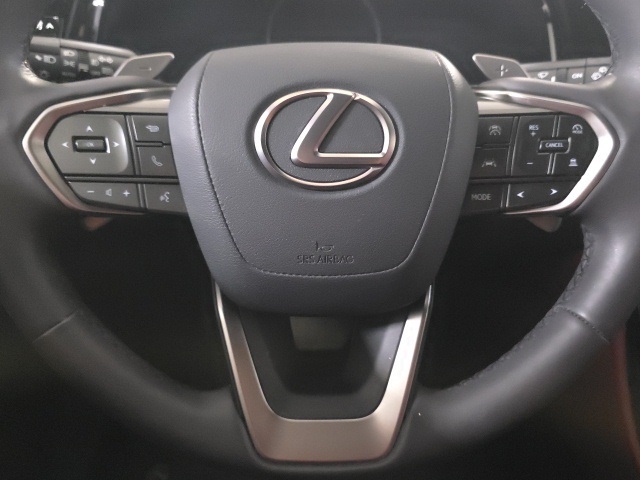 2023 Lexus NX 350 photo 11