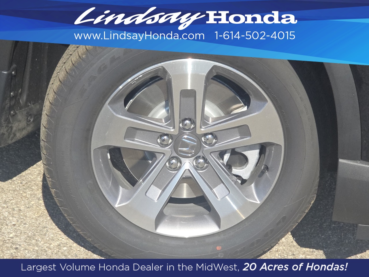 2025 Honda Pilot EX-L photo 6