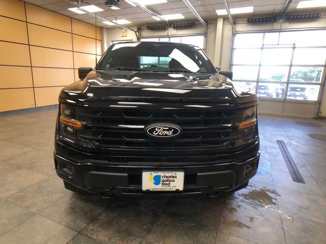 2025 Ford F-150 XLT photo 3