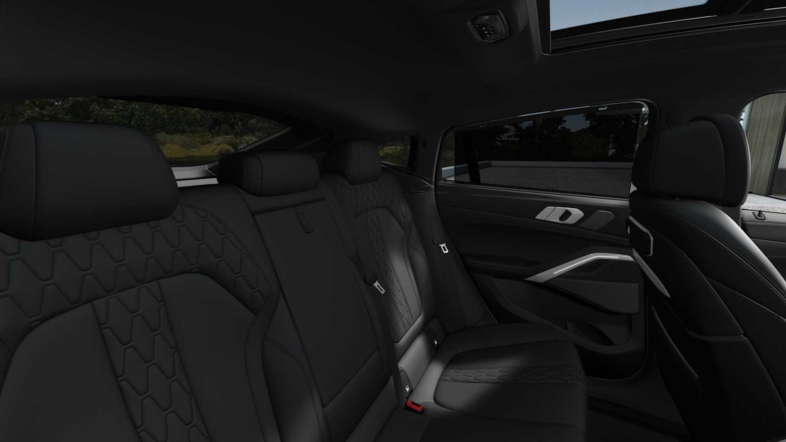 2026 Bmw X6 photo 10
