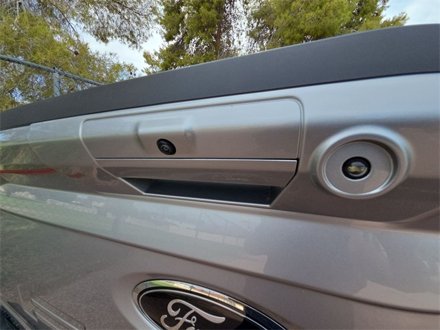 2022 Ford F-150 Tremor photo 27