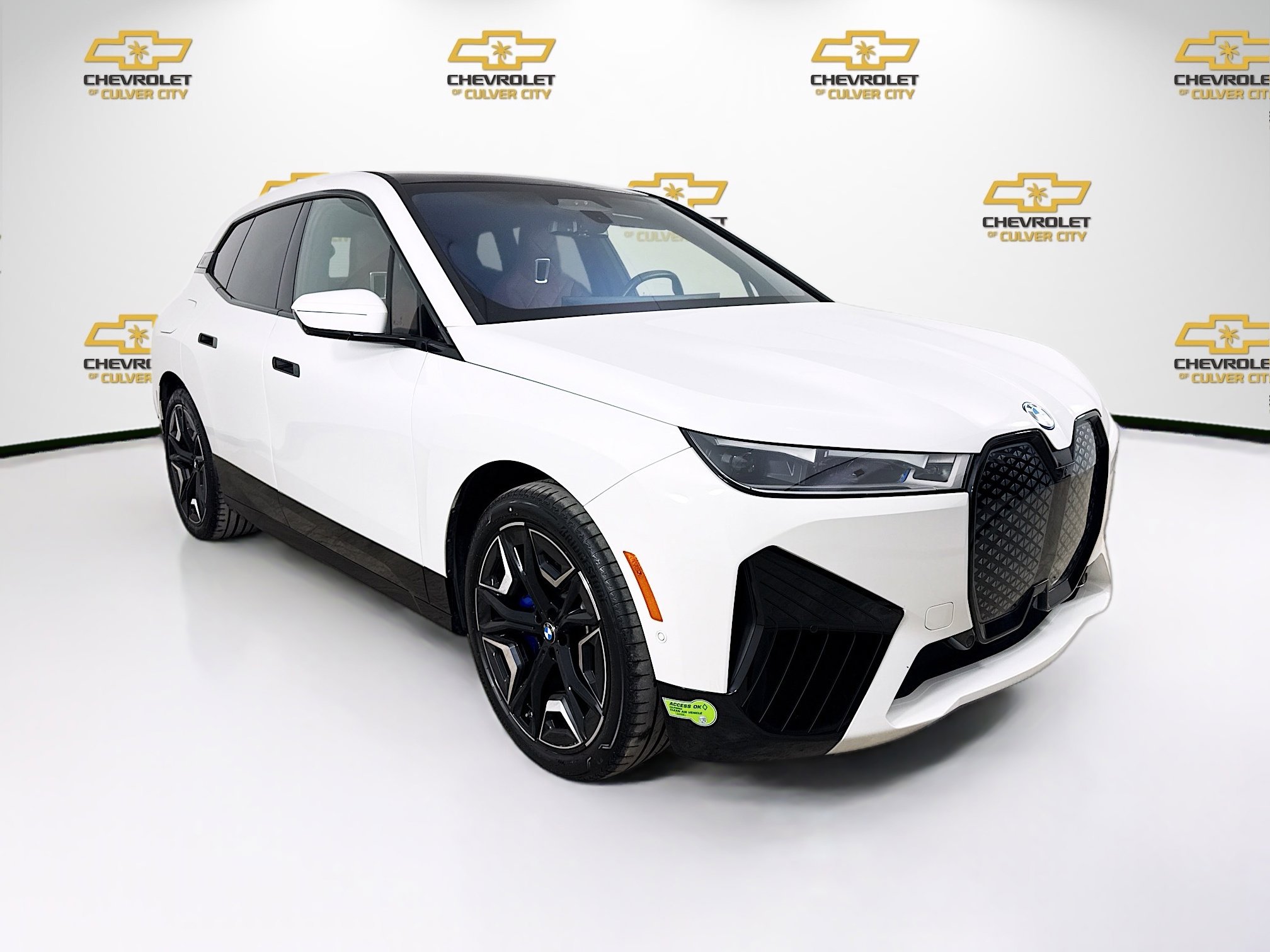 2023 BMW iX Base's photo