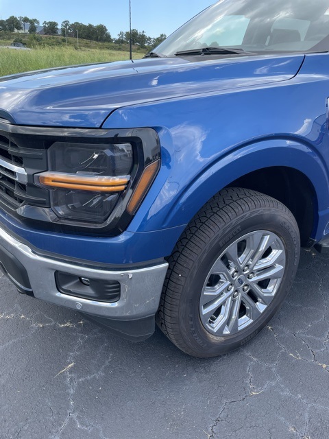 2024 Ford F-150 XLT photo 3