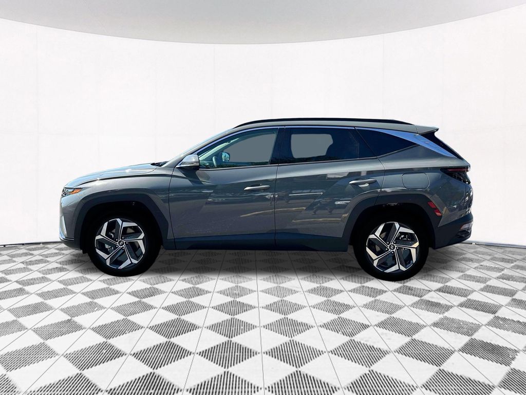 2024 Hyundai Tucson Limited photo 3