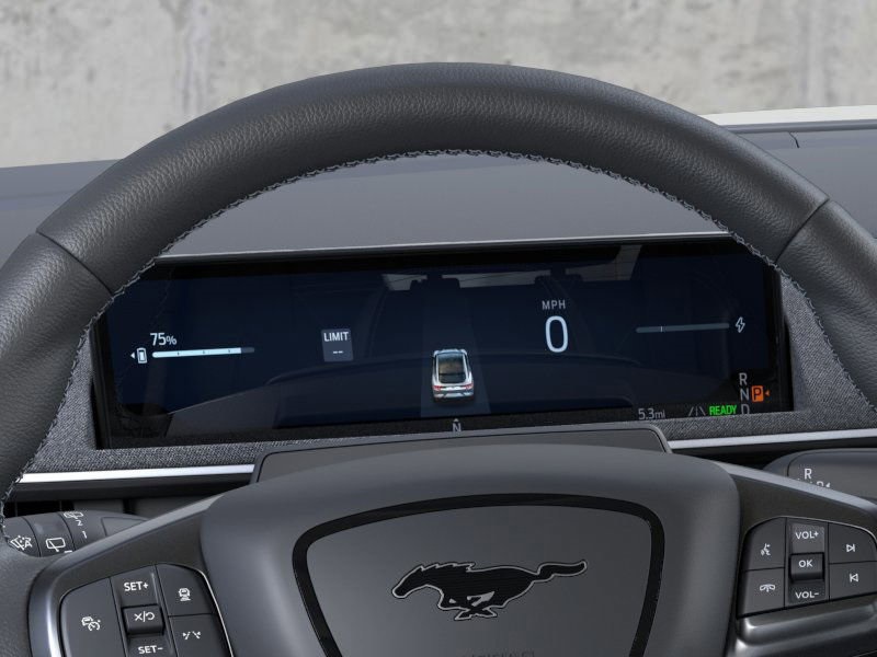 2025 Ford Mustang Mach-E GT photo 7
