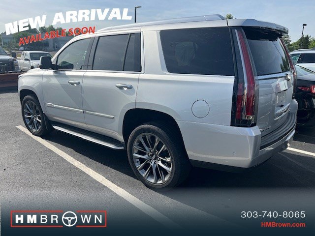 2019 Cadillac Escalade Luxury photo 3