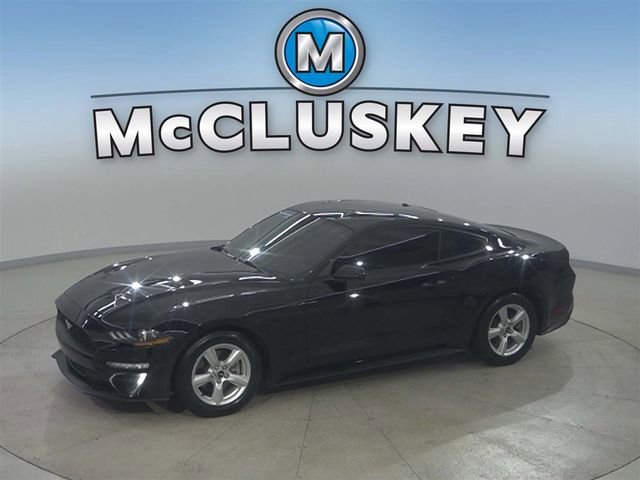 2019 Ford Mustang EcoBoost's photo