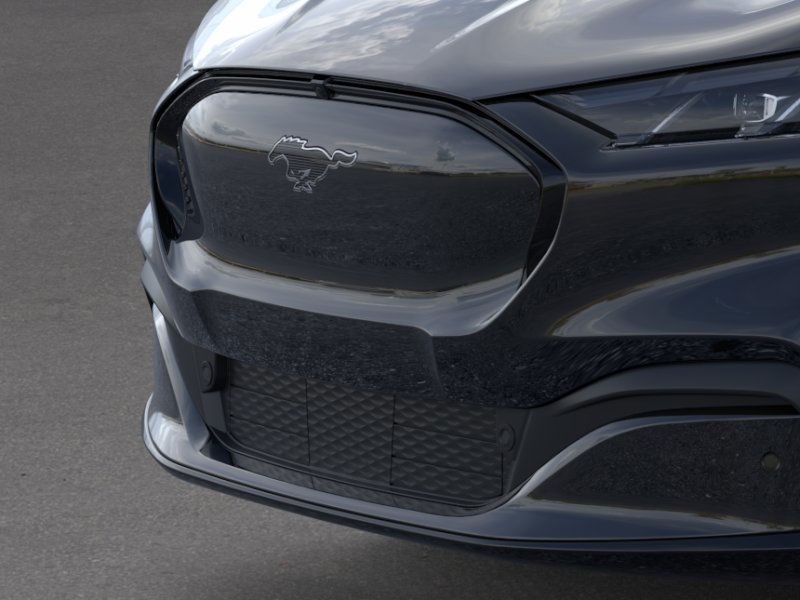 2025 Ford Mustang Mach-E Premium photo 14