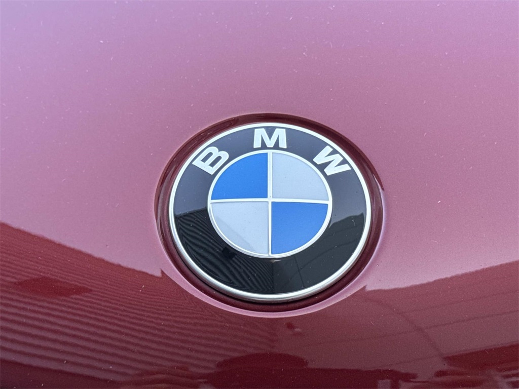 2023 Bmw X6 M50i photo 9