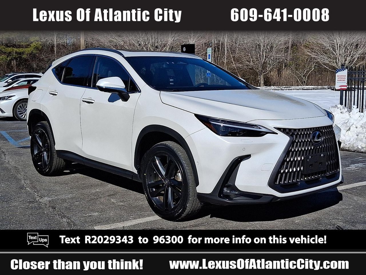 2024 Lexus NX PHEV 450h+