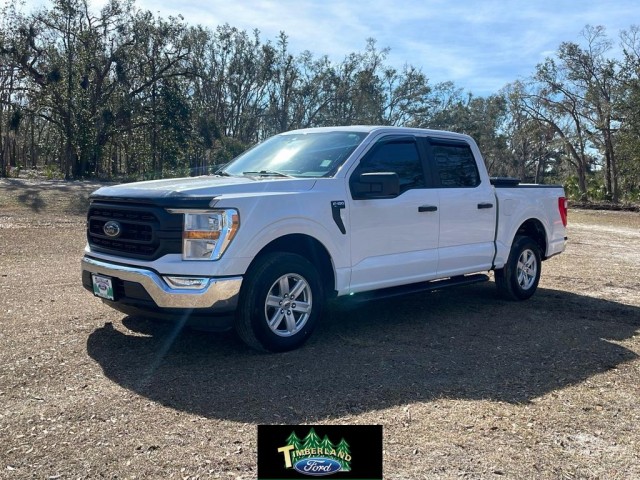 2021 Ford F-150 XL's photo
