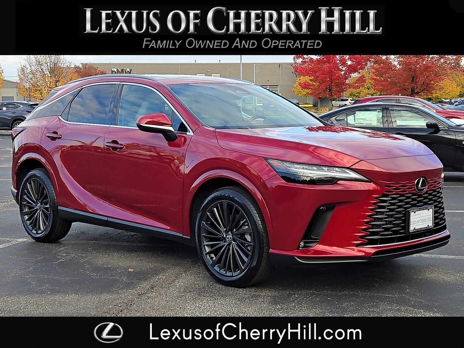 2024 Lexus RX 350's photo