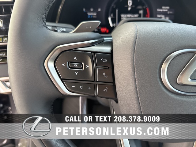2025 Lexus RX 350 Premium photo 23