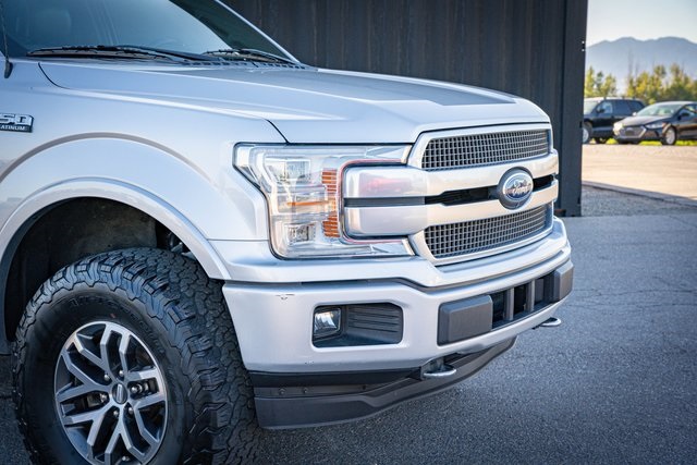 2019 Ford F-150 Platinum photo 4