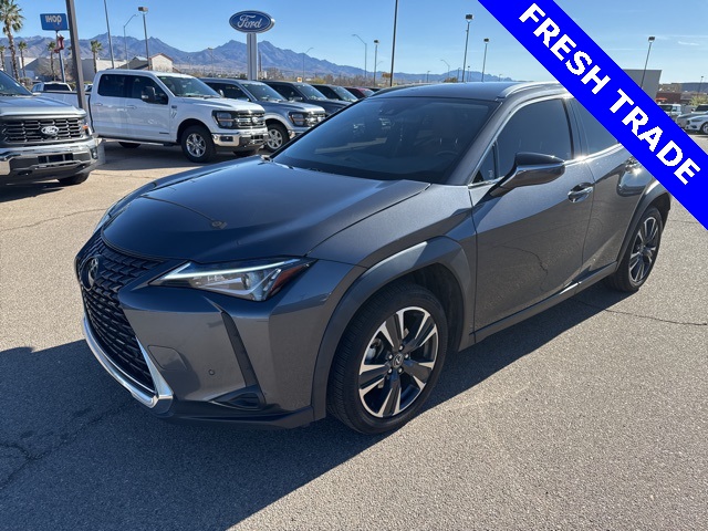 2022 Lexus UX 200's photo