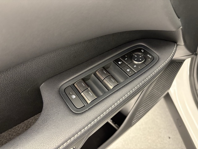 2024 Lexus RX 350h photo 8