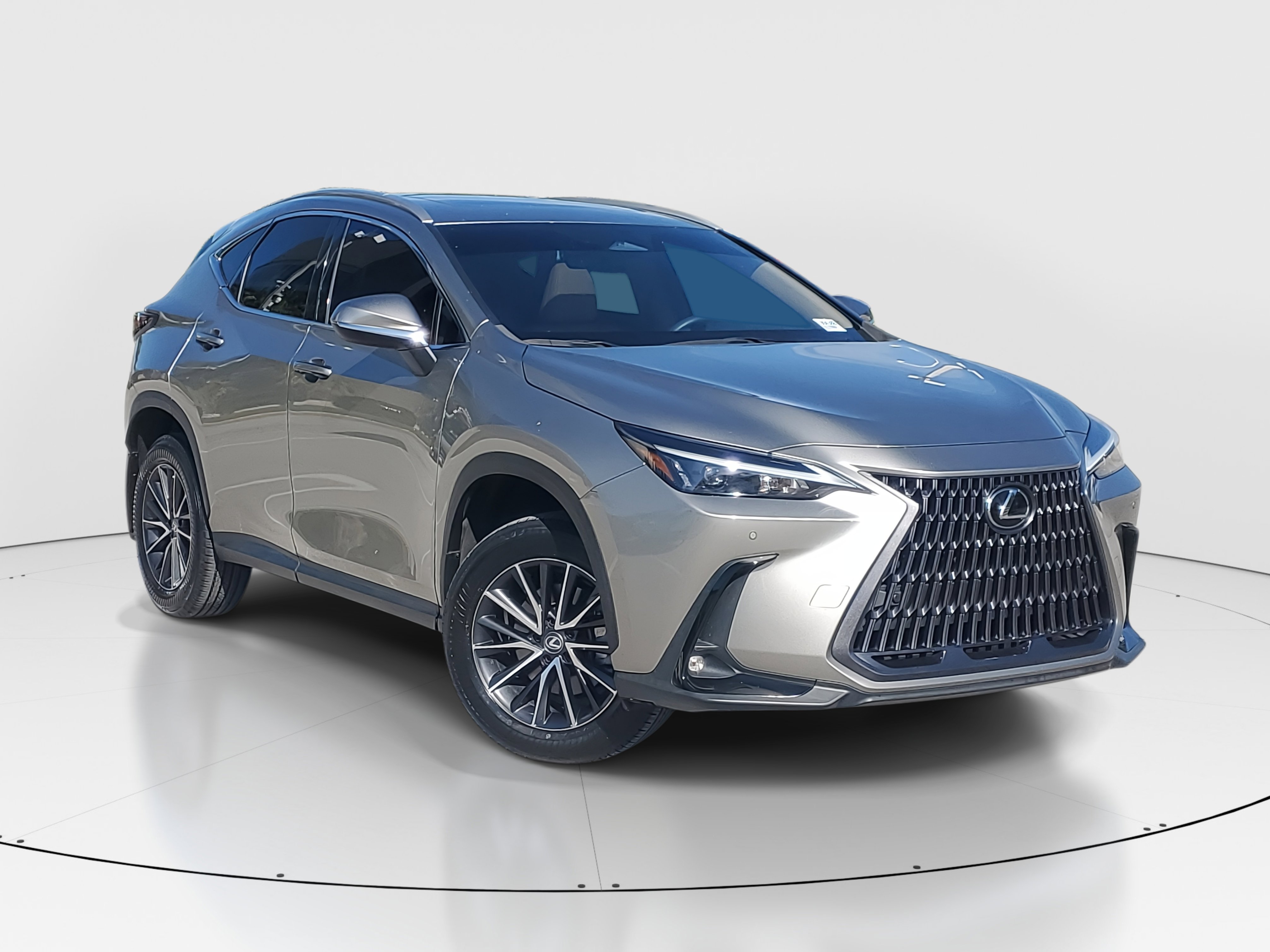 2022 Lexus NX 250 Premium photo 2