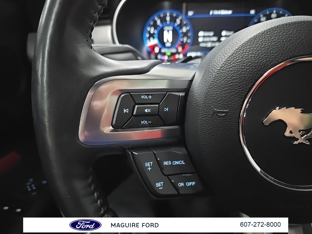 2019 Ford Mustang GT Premium photo 18