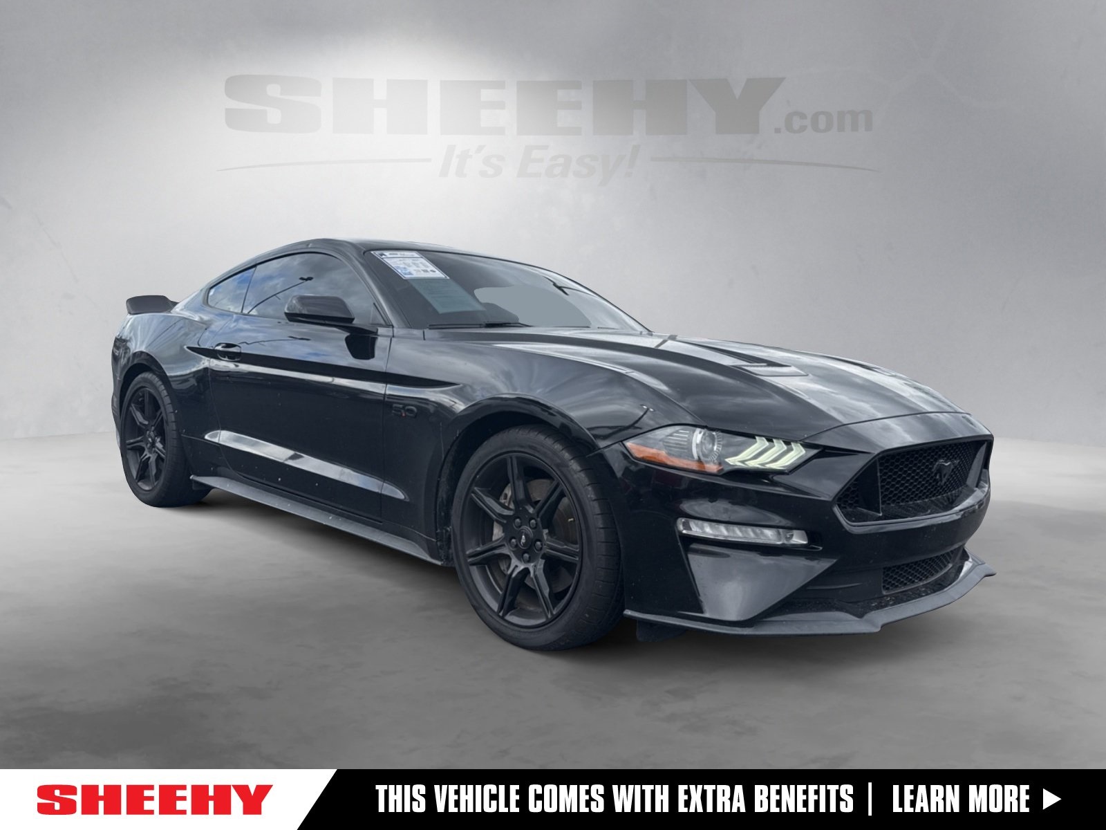 2019 Ford Mustang GT's photo