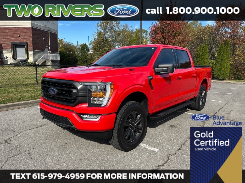 2023 Ford F-150 XLT's photo