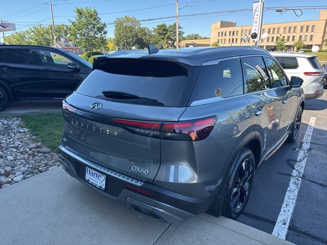 2022 Infiniti QX60 Luxe photo 2