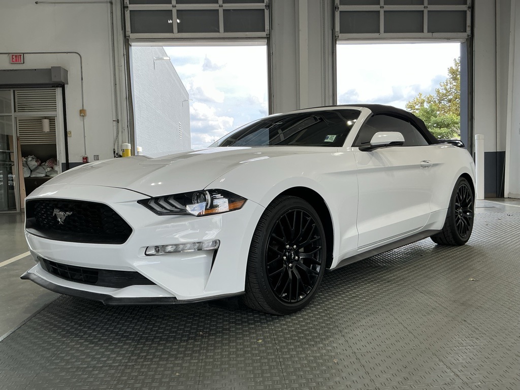 2019 Ford Mustang EcoBoost Premium photo 4