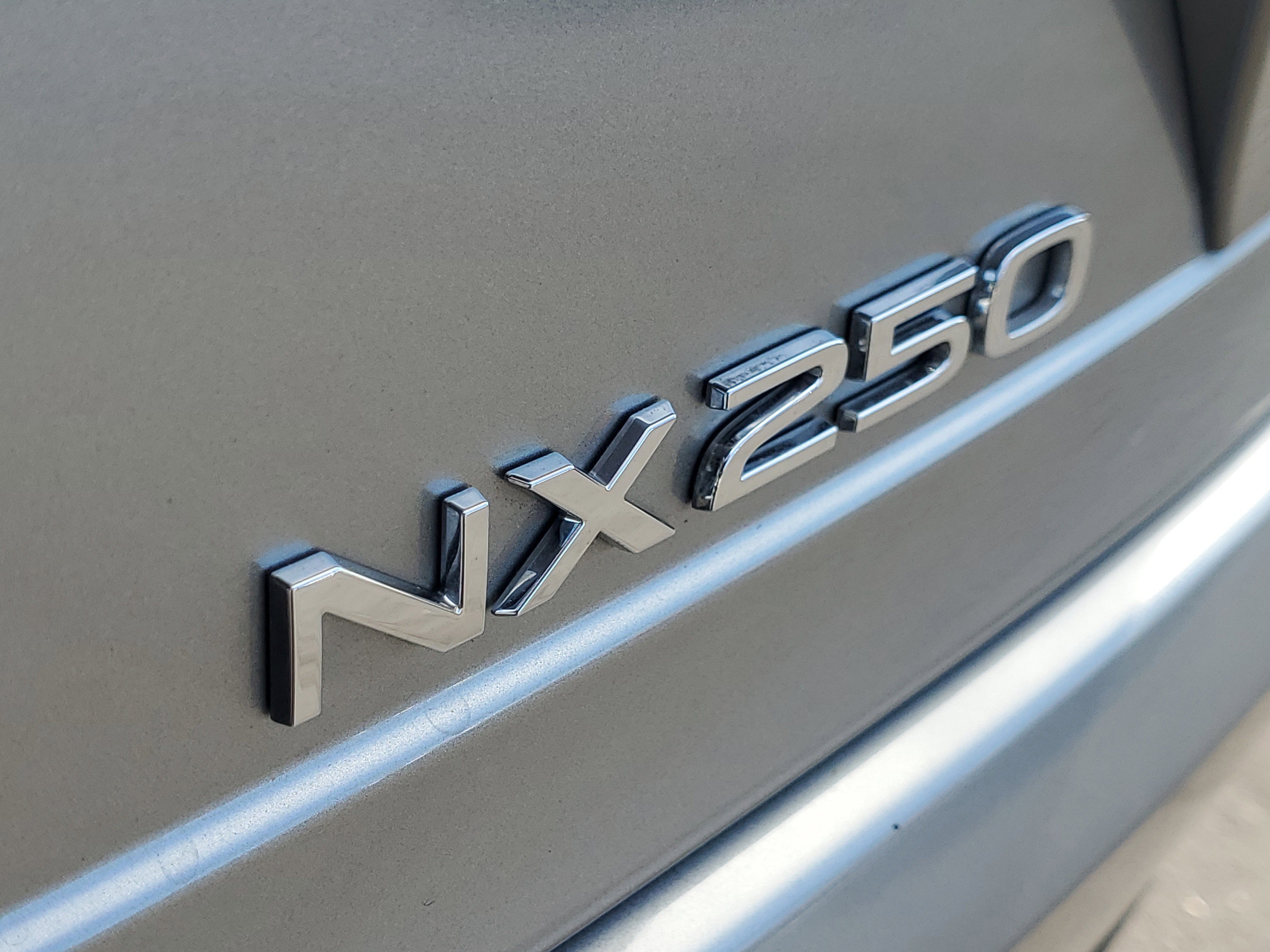 2024 Lexus NX 250 photo 7
