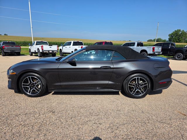 2023 Ford Mustang EcoBoost Premium photo 23