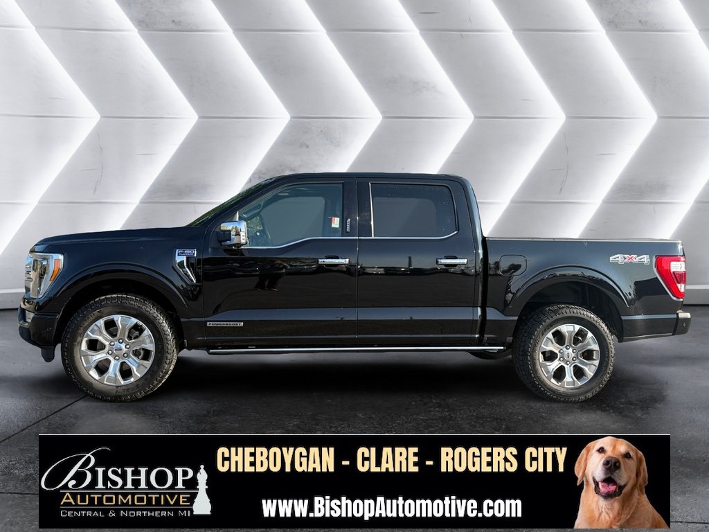 2021 Ford F-150 Platinum photo 7