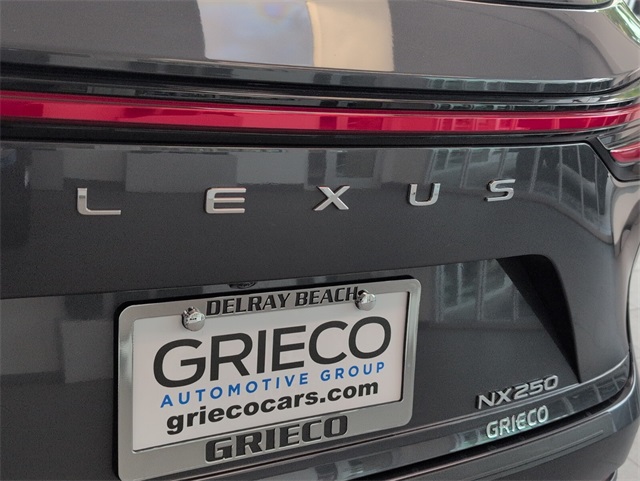 2025 Lexus NX 250 photo 10