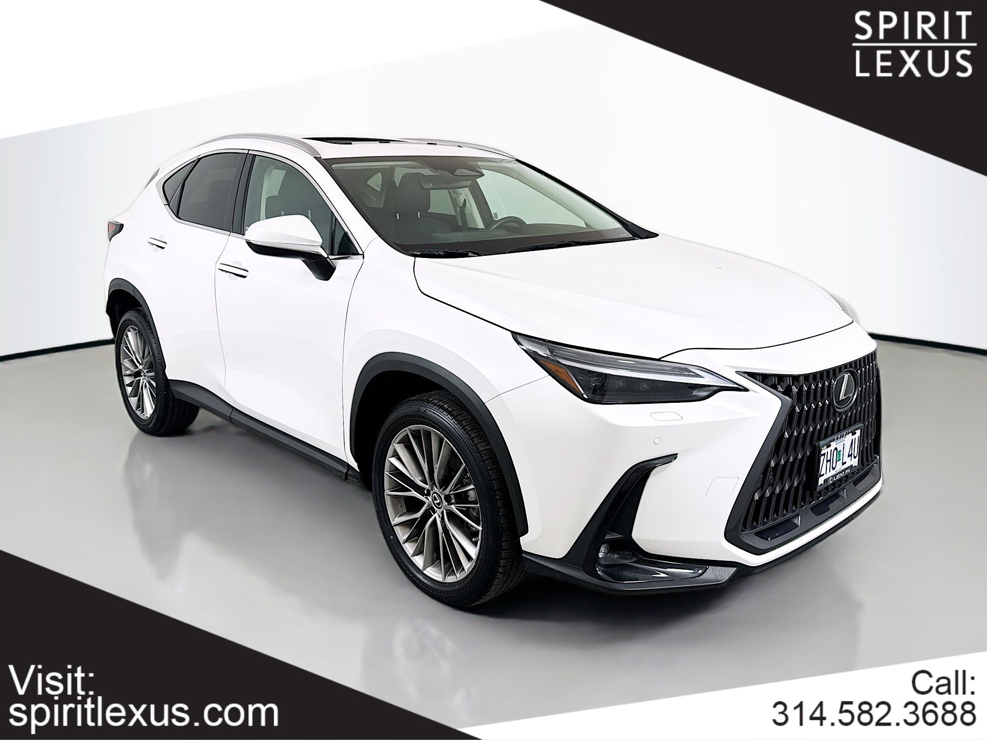 2022 Lexus NX 350's photo