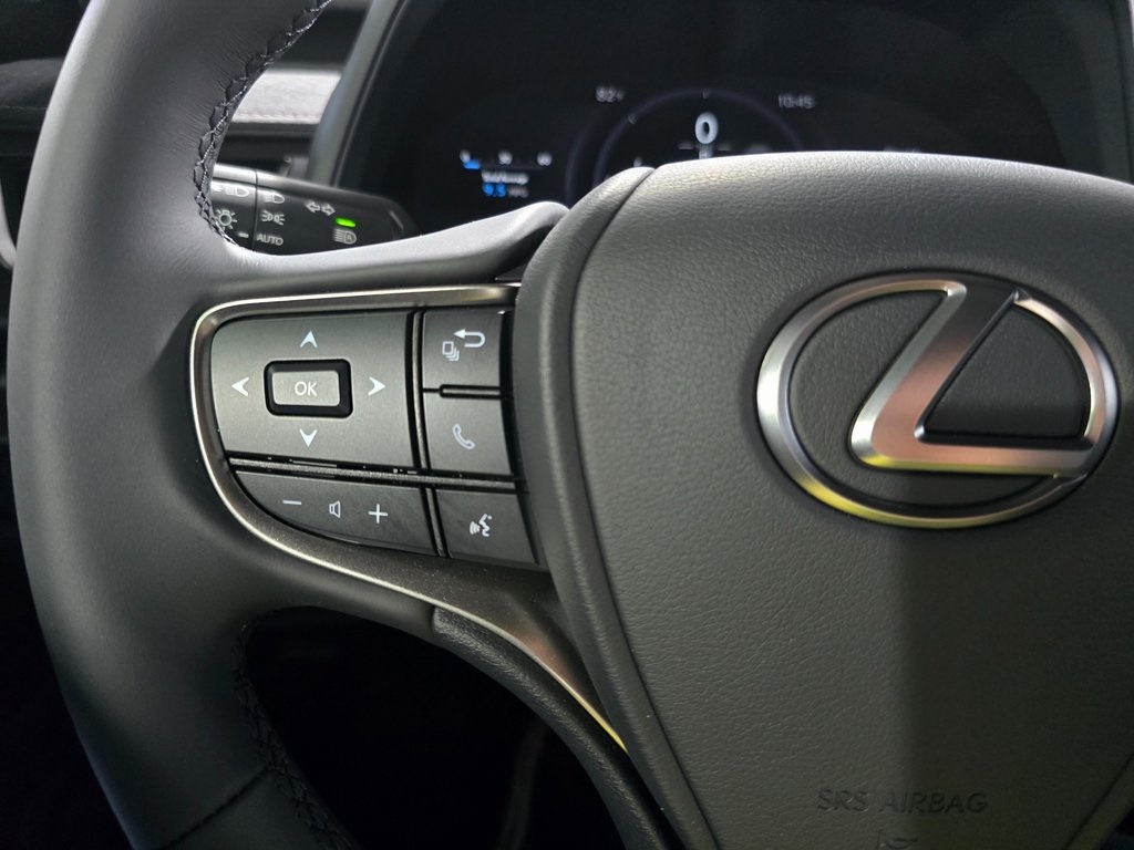 2025 Lexus UX photo 14