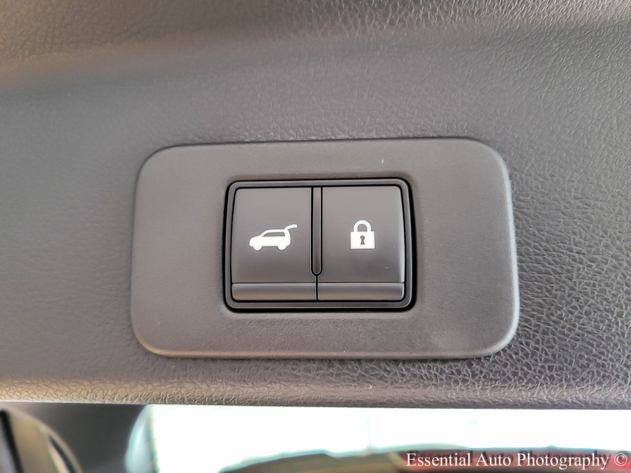 2025 Nissan Murano SL photo 15