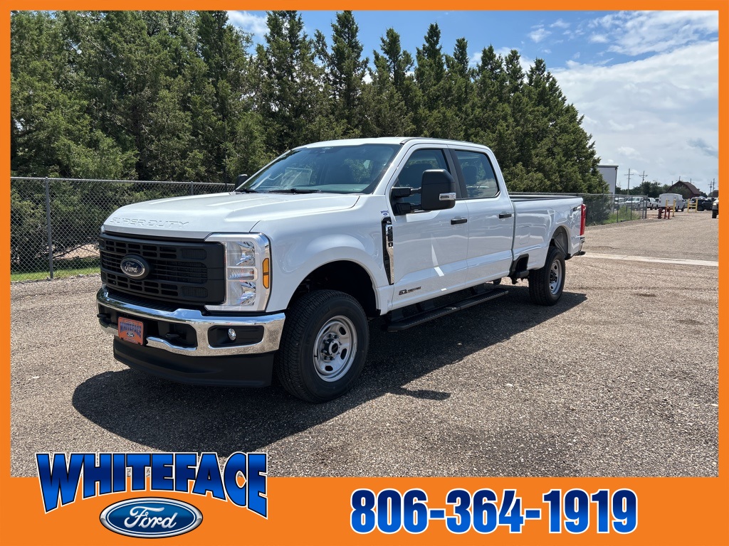 2025 Ford F-250 photo 2