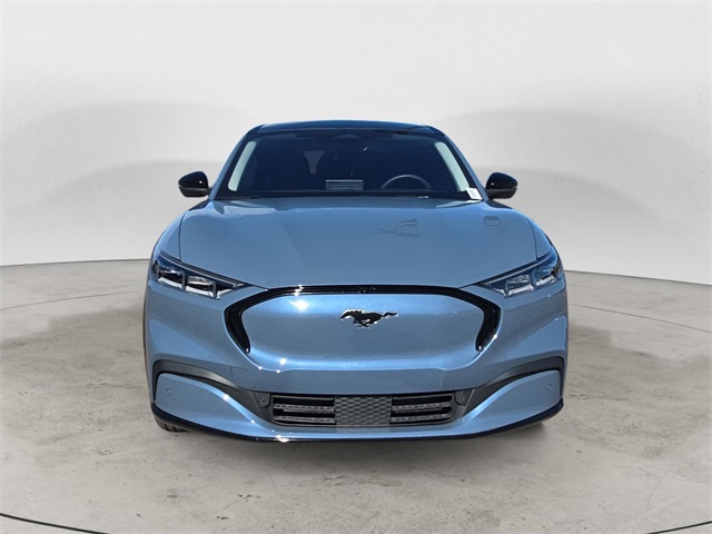 2023 Ford Mustang Mach-E Premium photo 8