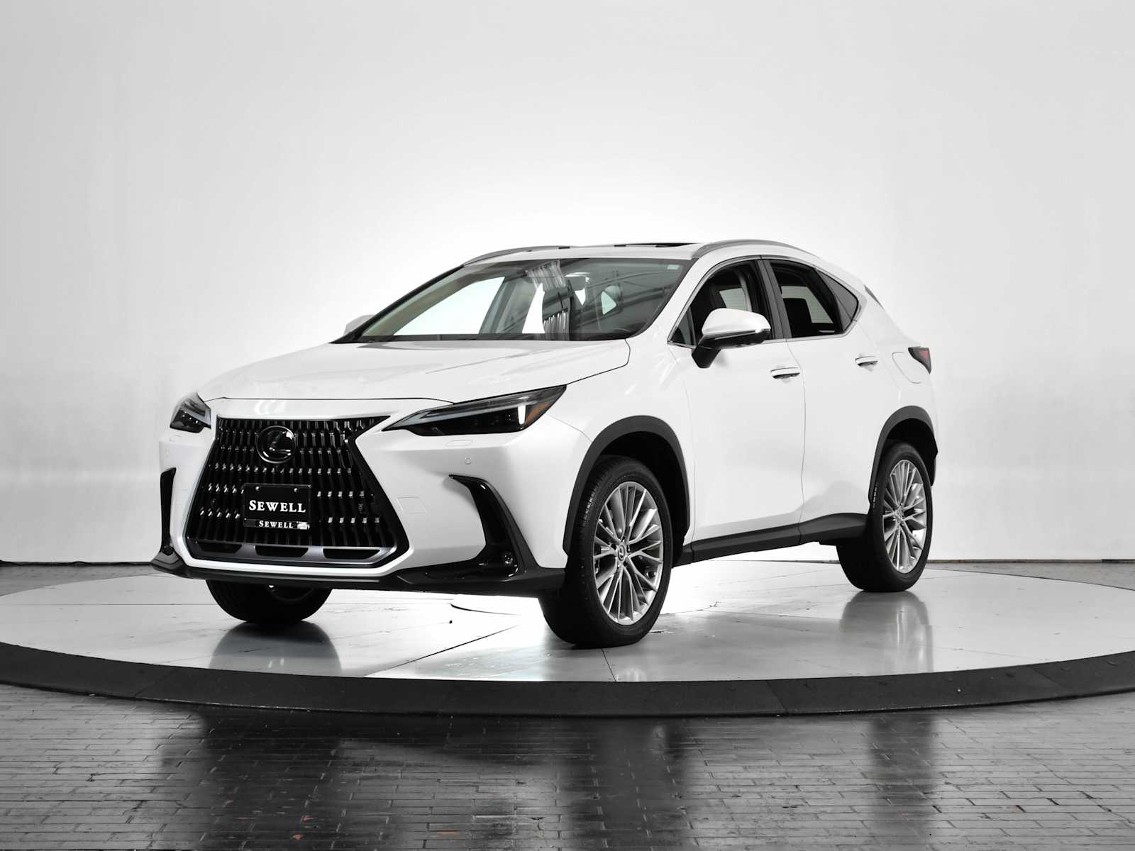 2024 Lexus NX 350's photo