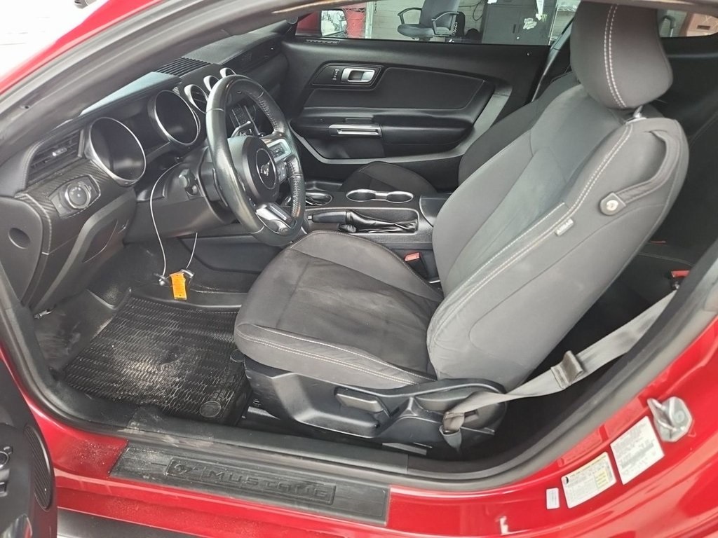 2020 Ford Mustang EcoBoost photo 6