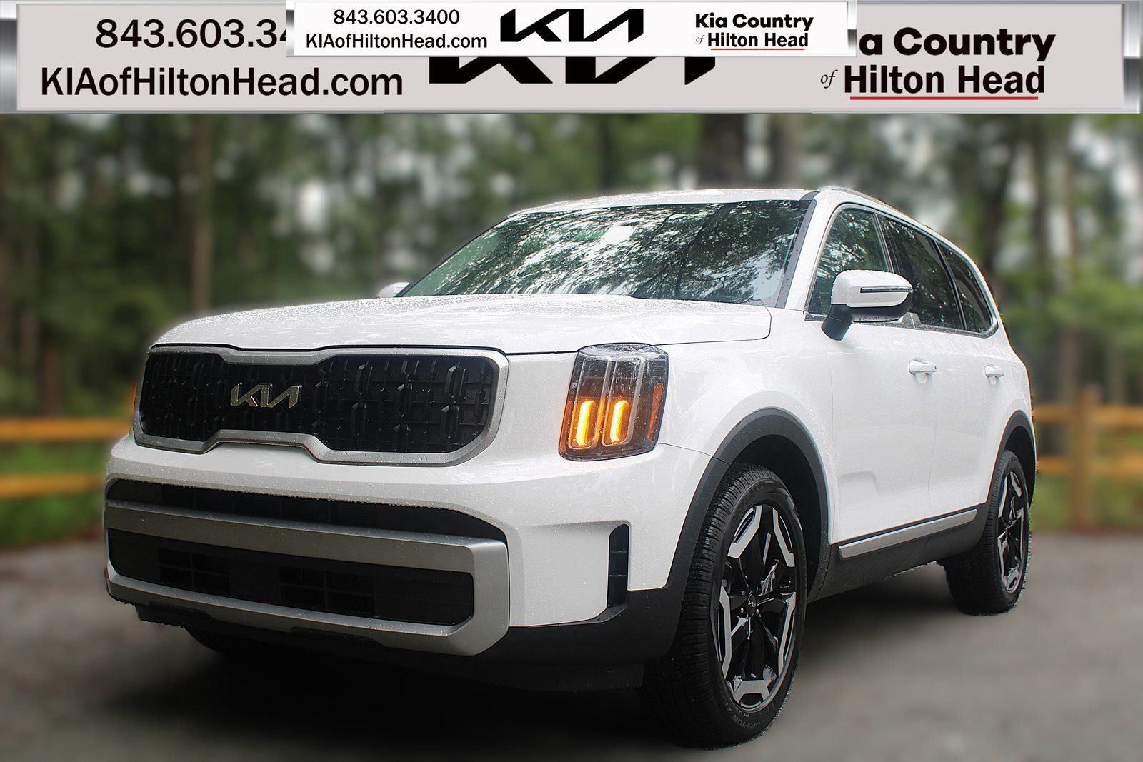 2025 Kia Telluride EX's photo