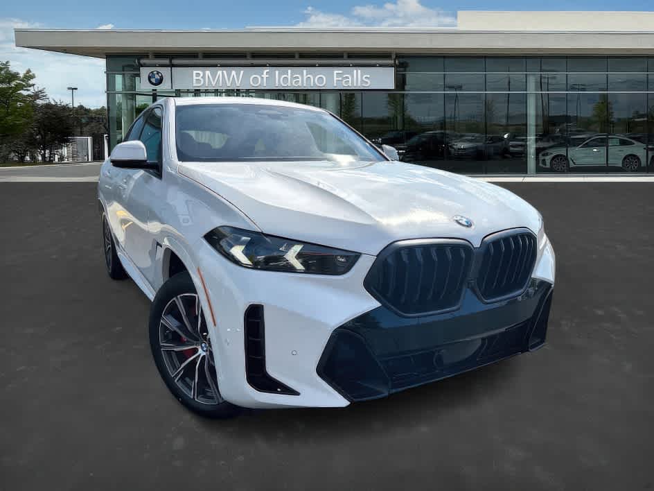 2026 BMW X6