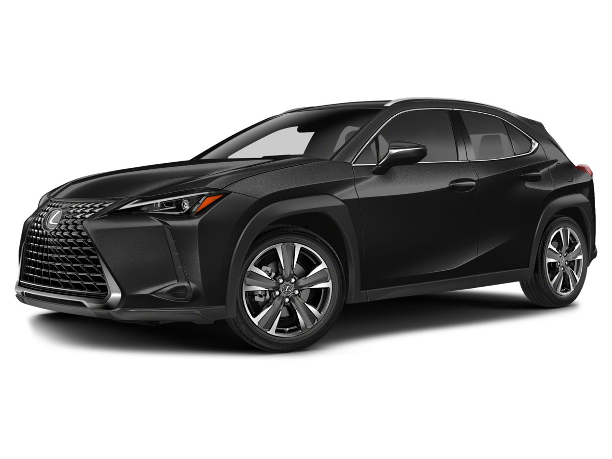 2025 Lexus UX photo 13